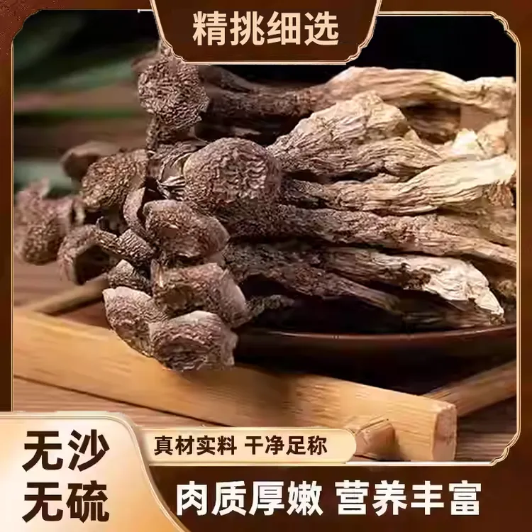 鹿茸菇自然晾晒头茬新货炒菜煲汤鲜嫩爽口 KX-1商品图