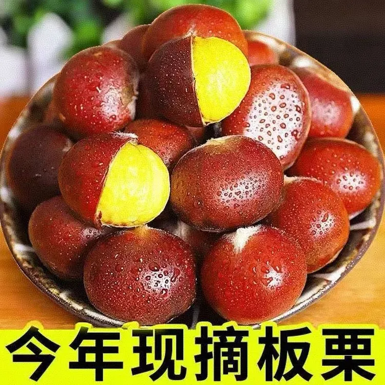 丹东当季高山新鲜板栗香味浓郁粉面香糯5斤装难剥皮非油栗子锥栗