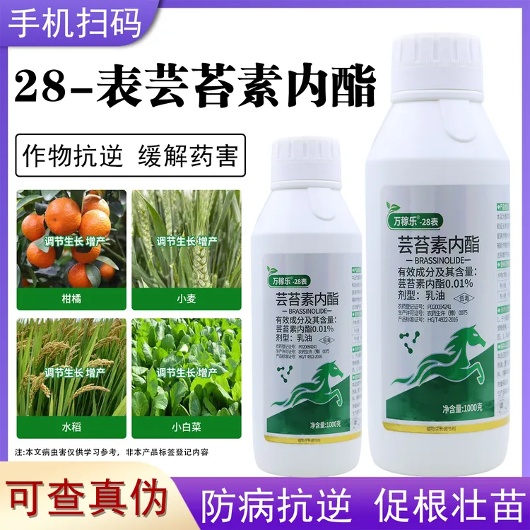 芸苔素内酯植物生长调节剂促进生根保花保果叶面肥农用调节剂正品