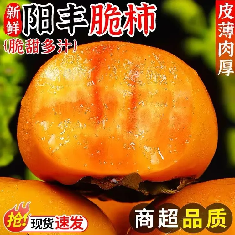 【产地直发】巧克力脆柿子新鲜水果当季正宗冰糖心黄甜脆火晶柿子