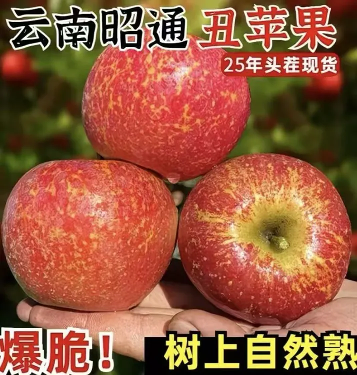 云南昭通冰糖心丑苹果2025新鲜应季水果脆甜多汁现摘水果包邮