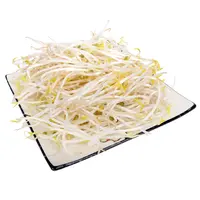 绿豆芽280g-300g/盒