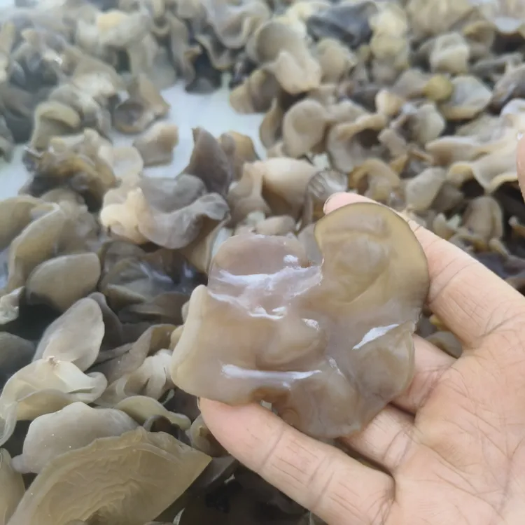 口感柔软的黄木耳