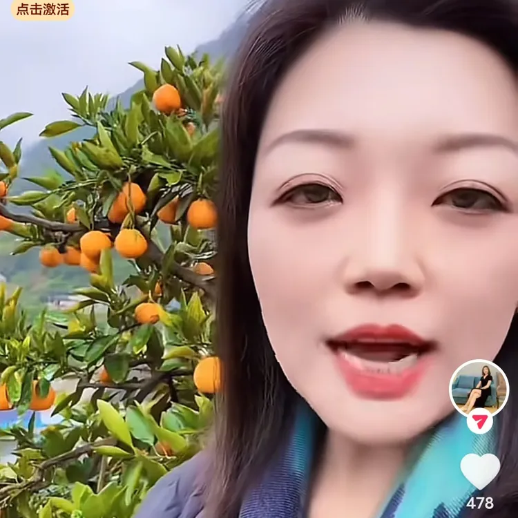 团购湖南石门直发纽荷尔甜橙现摘现发新鲜水果当季特产超好吃心动