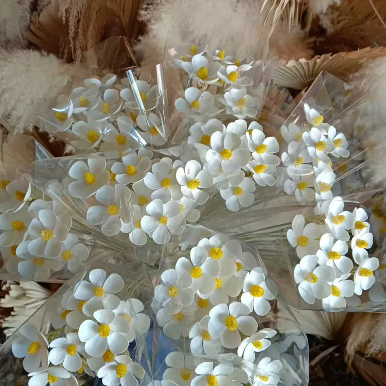 紫罗兰真干花手工插花永生油筒壳材质适合混搭网红花束装饰白色