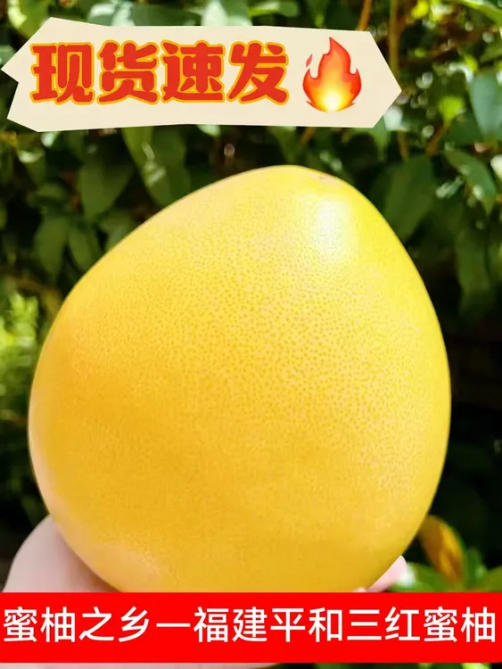福建平和老树头茬红心蜜柚当季新鲜水果