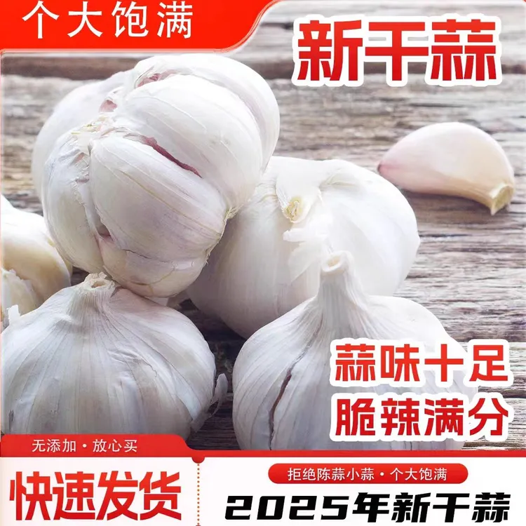 特大果】干蒜大蒜头山东紫白皮蒜农家种植辛辣味足十成干批发价