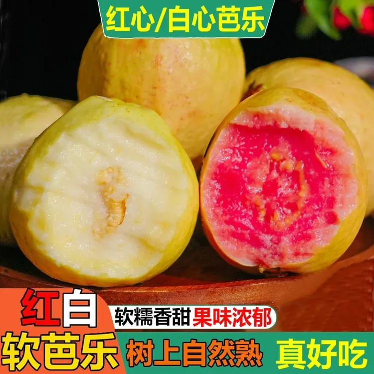 广西红心白心芭乐3斤/5斤 双拼组合装