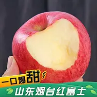 【25年新果】山东烟台头茬红富士苹果新鲜现摘当季应季脆甜多汁水果