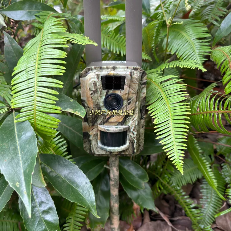 深山果园迷彩防盗器