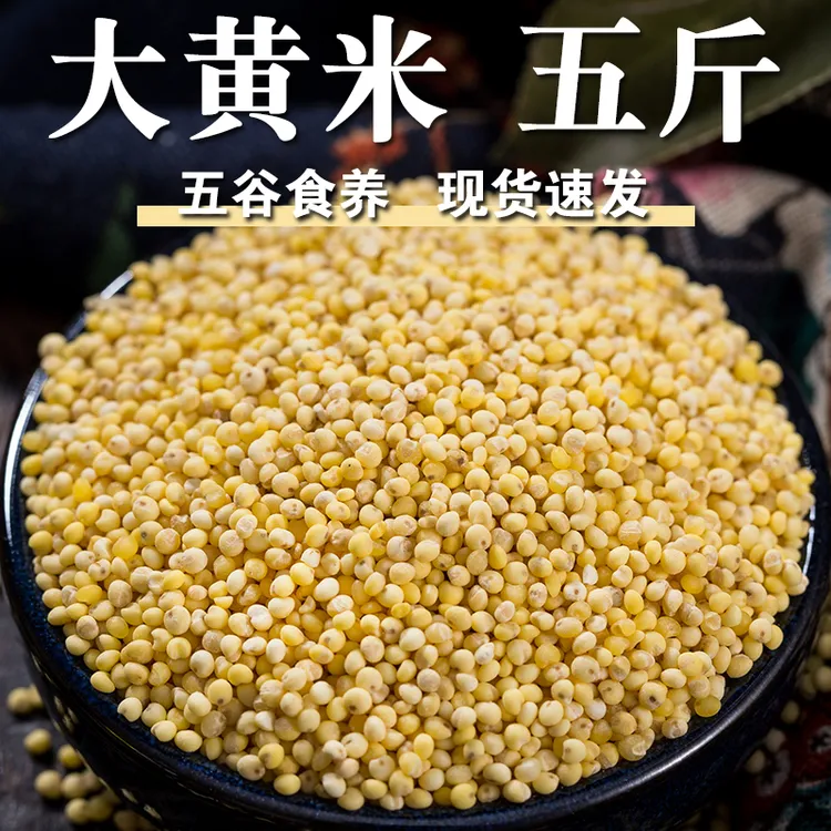 【大黄米五斤】黏糯黄大米软黄米包子米糕粽子杂粮粘黄米