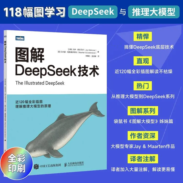 图解DeepSeek技术 deepseek教程DeepSeek项目原理开发大模型应用