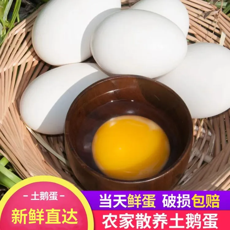 【破损包赔】新鲜散养初生鹅蛋 20枚装  现捡现发