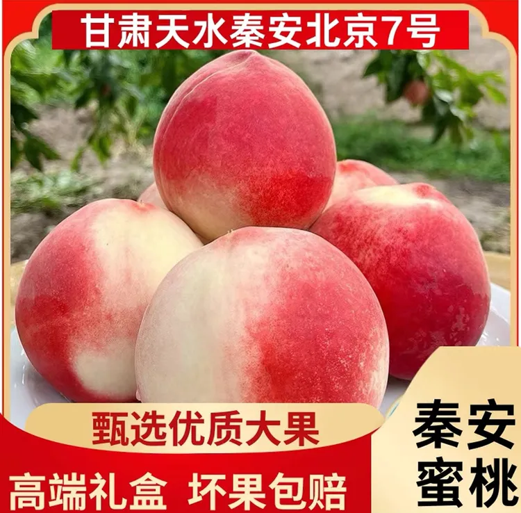 【秦安蜜桃】甘肃秦安现摘高原种植特产孕妇应季新鲜农家自种
