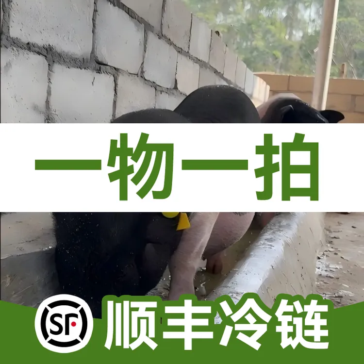 【猪板油/肥肉】广西陆川猪-（现称改价）重量以直播间为准