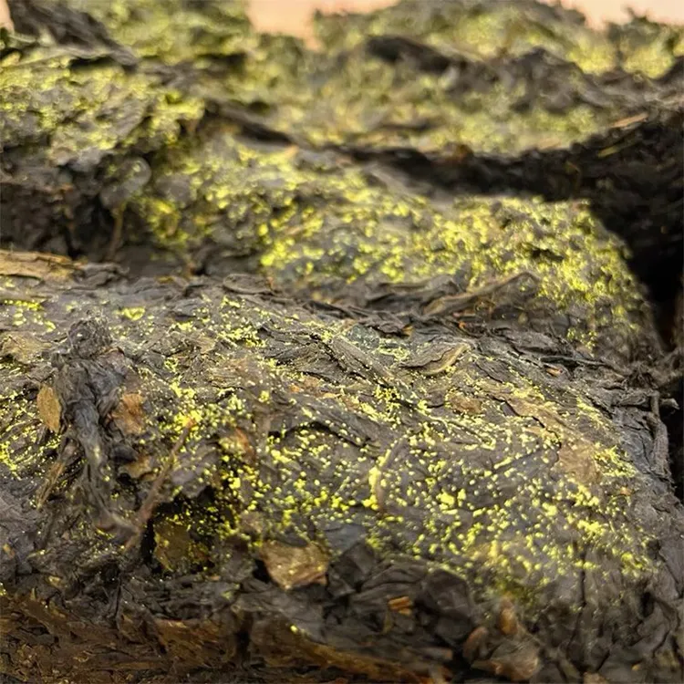 【买1发2】4斤清仓陈年金茯安化黑茶正宗正品金花饱满柔润爽滑批发