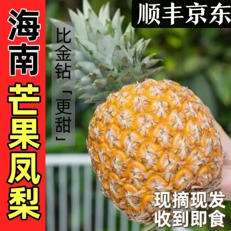 【燕子鲜果】正宗海南芒果凤梨自然熟香甜多汁入口细腻新鲜水果顺丰京东快递