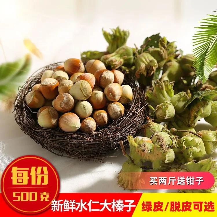 2025年新鲜大榛子新货东北带皮水仁水瓤桓仁平欧鲜生榛子500g榛子