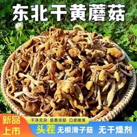 东北干货滑子菇小黄蘑菇精调细选干净无沙250克/袋