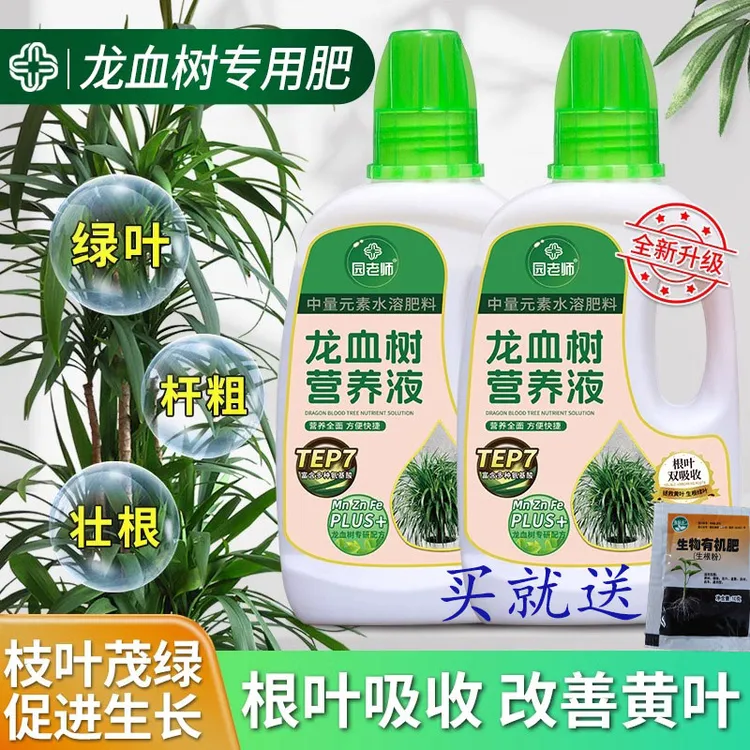 园老师龙血树专用营养液植物专用肥增肥催芽养花防枯叶植物营养液