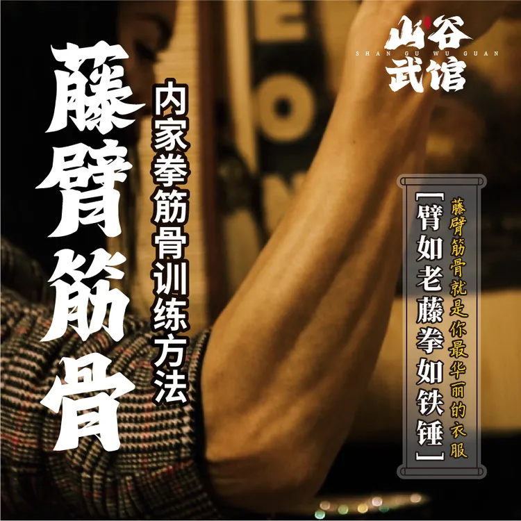 皇后老师藤臂筋骨训练线上课程