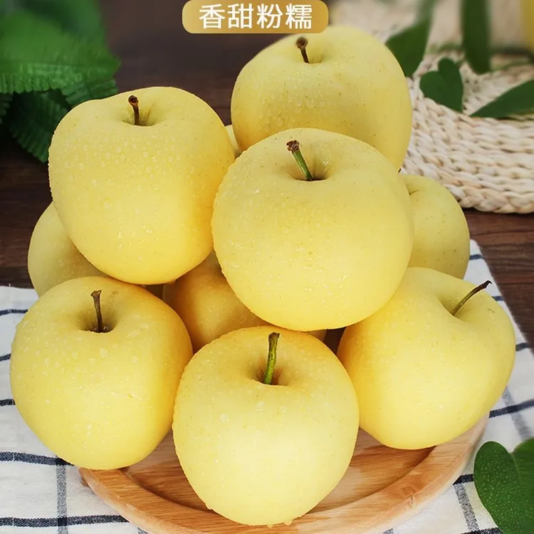 正宗东北新鲜黄元帅苹果脆甜多汁香甜粉面
