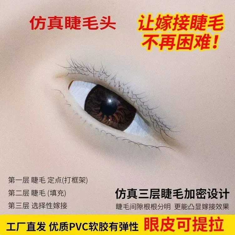 可提拉眼皮三层睫毛美睫练习模特头可重复使用种植睫毛模型