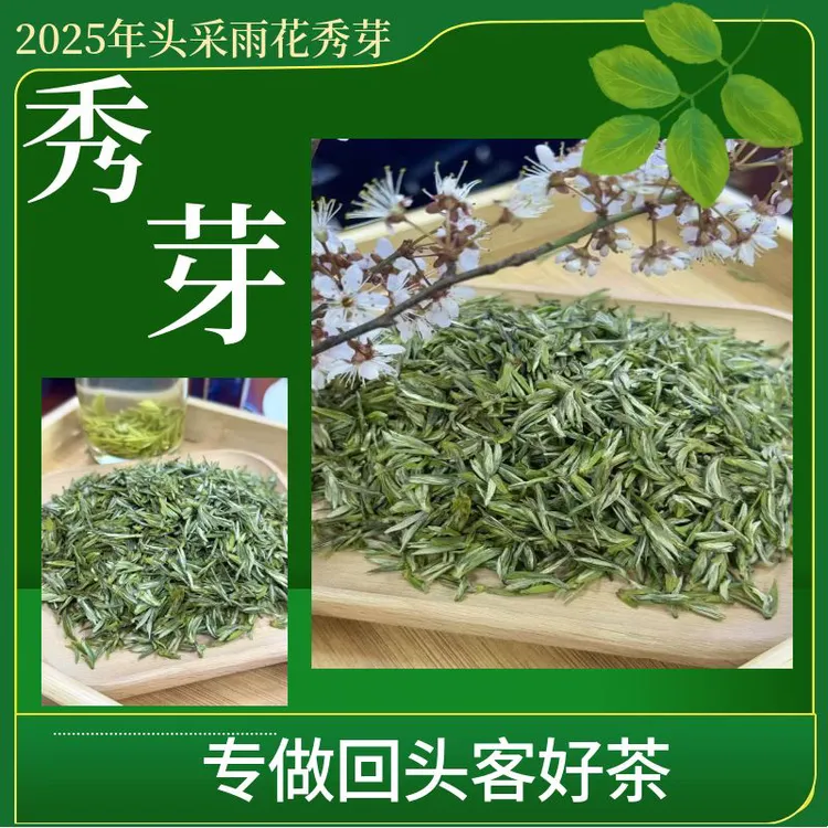 2025年新茶雨花手工，永川秀芽嫩芽