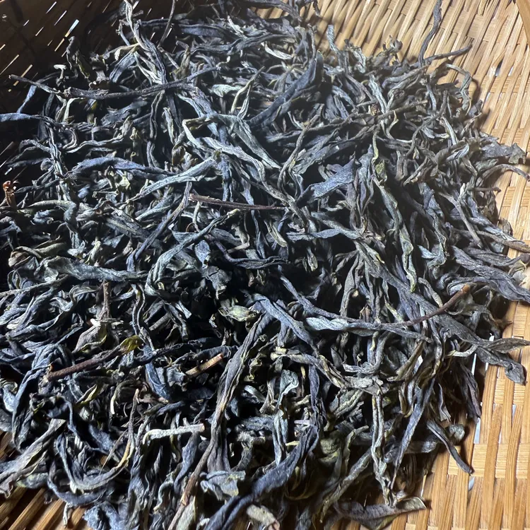   2025年小户赛头春大树混采生普散茶 250克 9月8日 （13号）