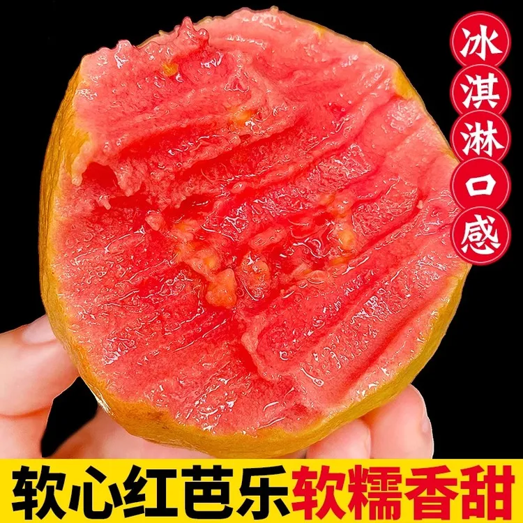 【顺丰包邮】广西芭乐番石榴软糯香甜坏果包赔产地直发白心红心芭乐