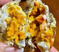 鲜活大只闸蟹新鲜发货满黄4对公母2两-4两一只熟醉蟹冷藏发货