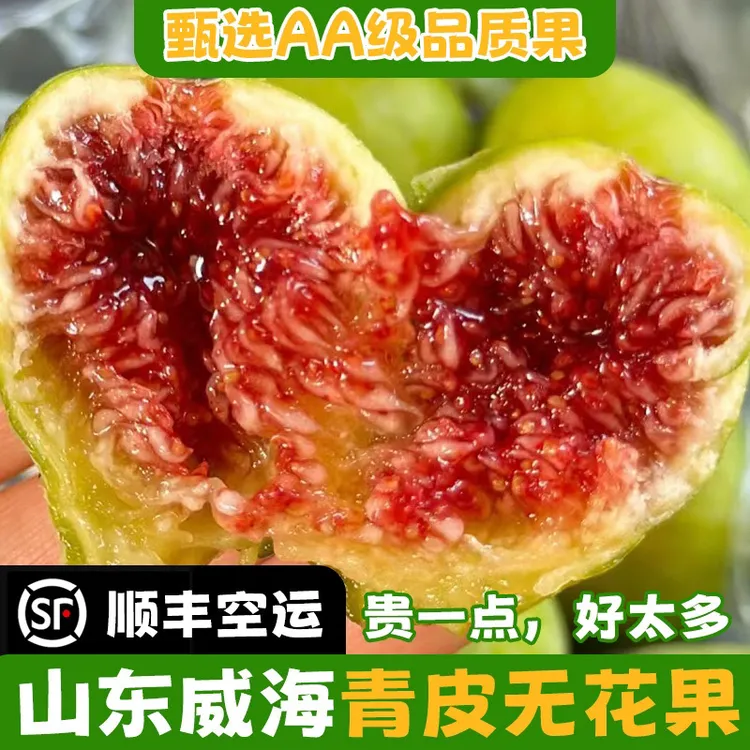 反季大棚果山东威海青皮无花果鲜果威海无花果青皮无花果顺丰包邮