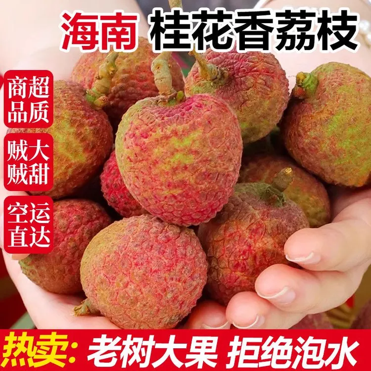 礼盒【京东空运】海南桂花香荔枝新鲜现摘肉厚香甜多汁产地直发
