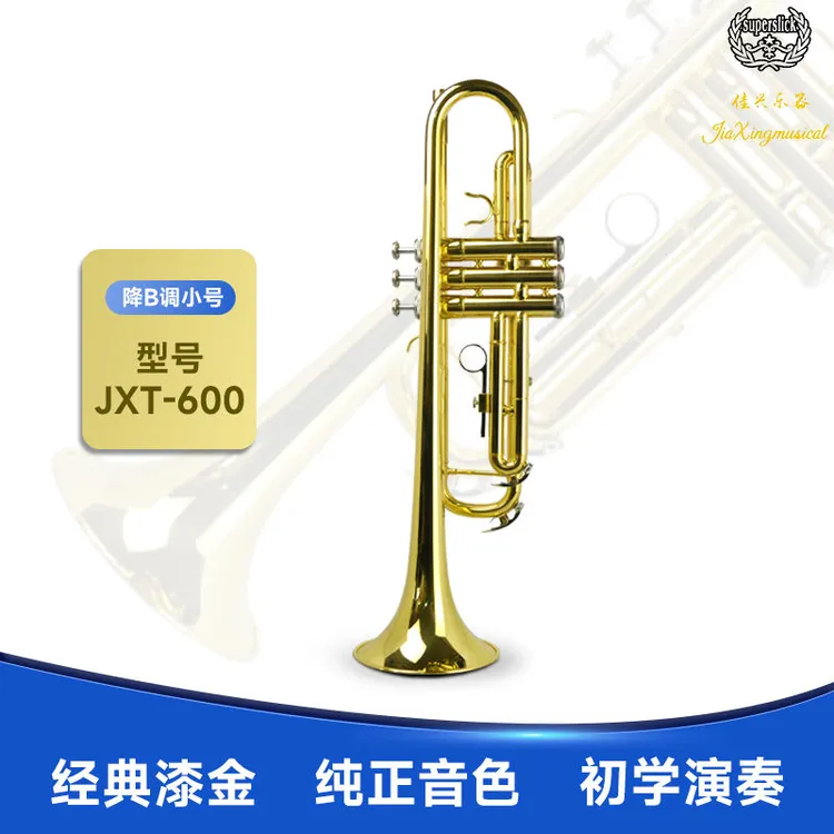 降b调小号初学考级专业演奏乐器漆金小号