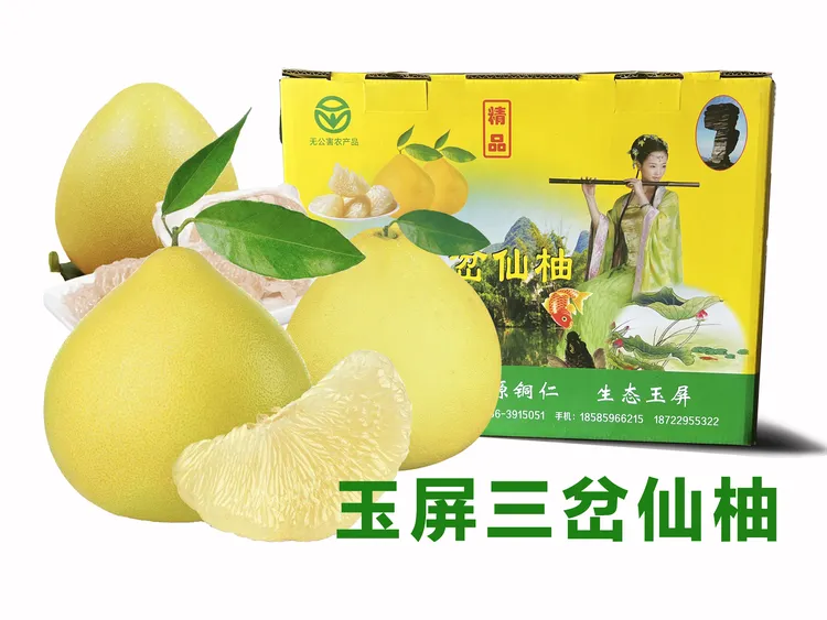 玉屏大龙南宁仙柚