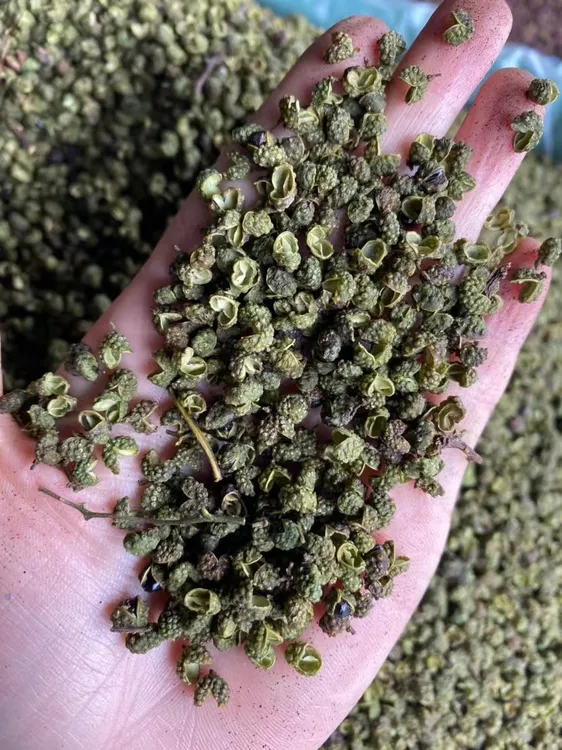 大凉山深山青花椒麻椒特麻花椒粒250g/500g包邮