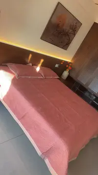 巨贵！巨好！奢丽剪绣烧花长绒棉床盖三件套245*250微瑕疵～K908