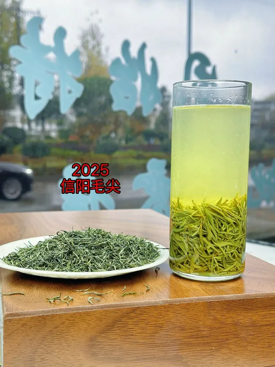 【杨刚子优选】信阳优选毛尖（主打性价比）