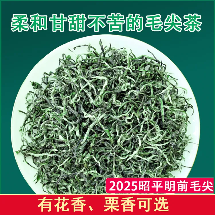 2025新茶广西昭平春茶毛尖头批采摘毛尖茶浓茶栗香很耐泡