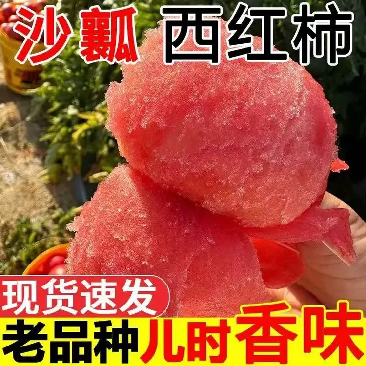  【顺丰】攀枝花老品种番茄高山粉果沙瓤比普罗旺斯西红柿还好吃