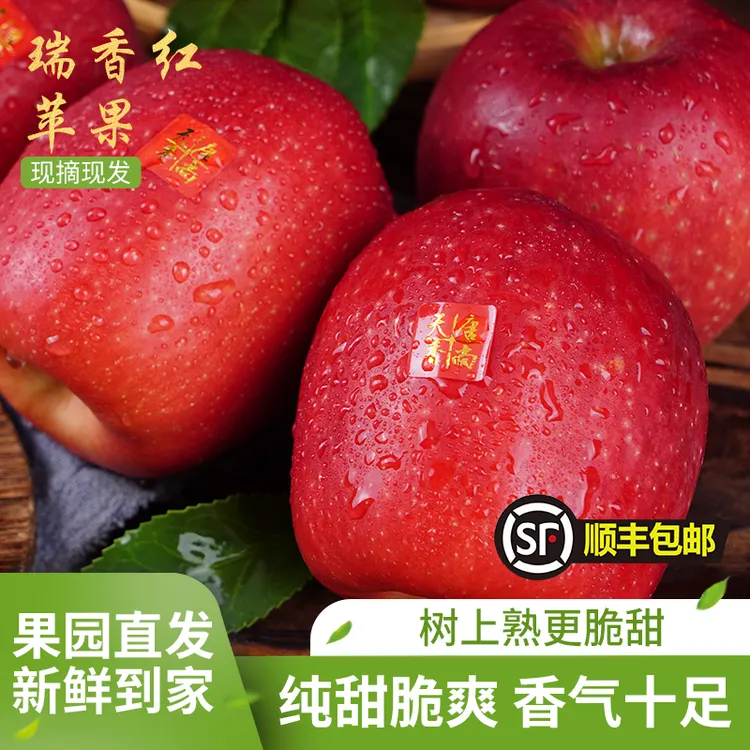 二级礼盒精品瑞香红苹果2025新产季脆甜好吃木美土里