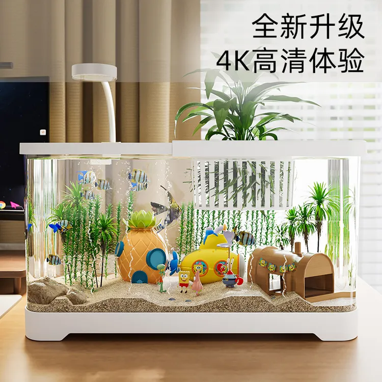 家用小型桌面生态鱼缸带过滤制氧功能适用于客厅办公室卧室
