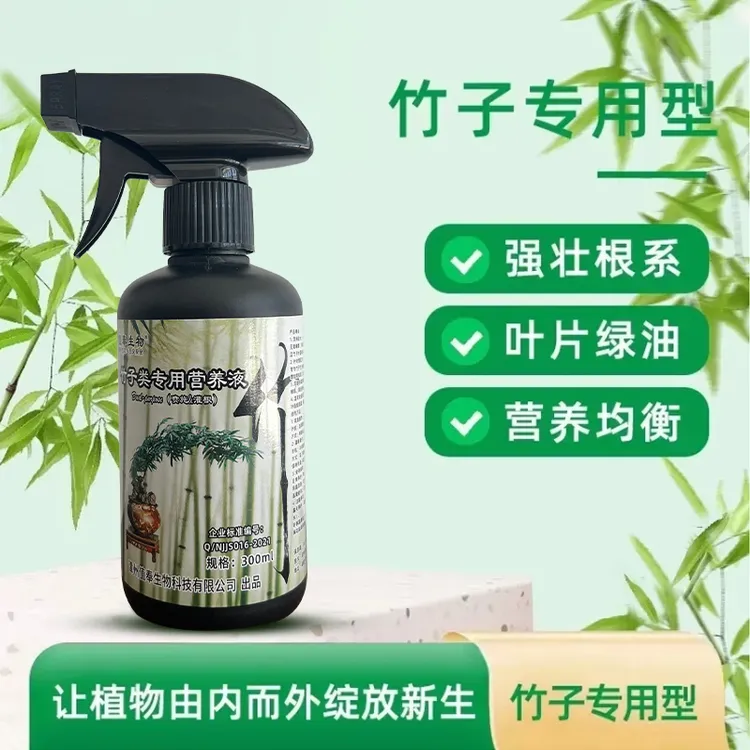 竹子植物营养液内门竹红观音竹佛肚竹罗汉竹水培米竹簕竹黄叶肥料