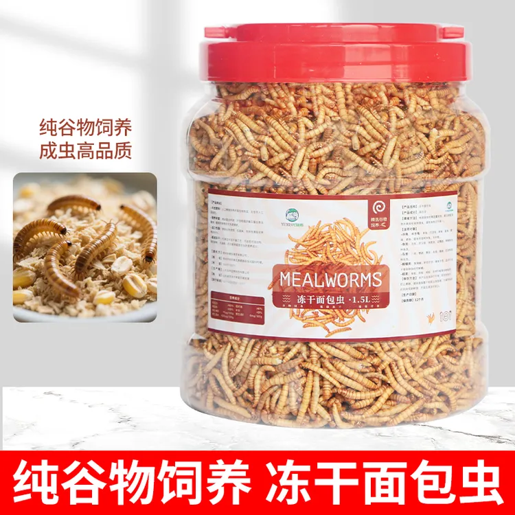 冻干面包虫金龙银龙鱼专用饲料鱼粮鹦鹉鸟粮蜥蜴角蛙蜥蜴守宫饲料