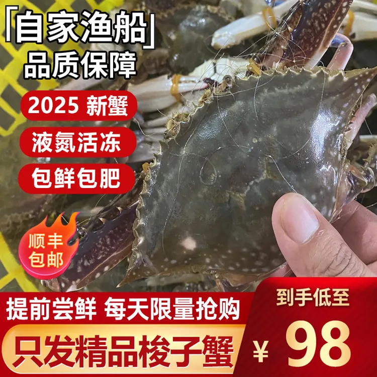 舟山梭子蟹鲜活冷冻特大螃蟹海鲜水产6-8两4斤6只公蟹包肥【冻蟹】