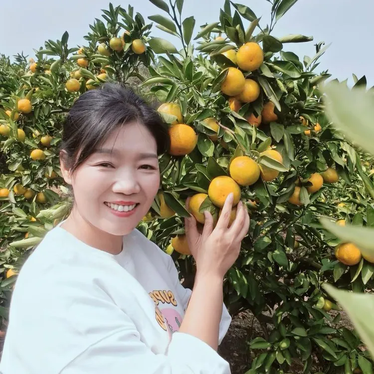 自家果园湖南澧县国庆一号无籽蜜桔酸甜适宜新鲜应季孕妇水果 现摘现发