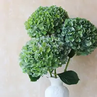 【秋色绣球花】新鲜高品质小众 云南基地直发家庭必备养护鲜切花