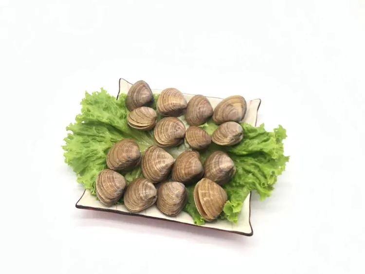 丹东黄蚬子贝类肥美新鲜蛤23头左右 百分95无沙干净海捕 4斤/件