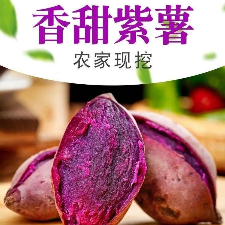 【坏果包赔】粉糯香甜紫薯新鲜沙地紫罗兰紫薯溏心流油流蜜粉糯不干