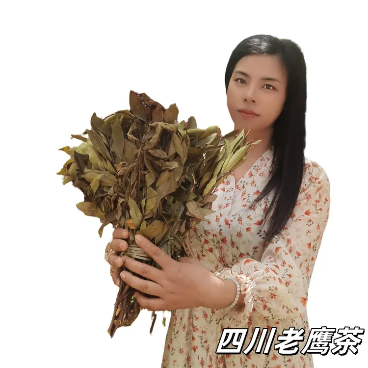 四川巴中恩阳特产深山老树高山老鹰茶老荫茶夏季凉茶火锅用老鹰茶